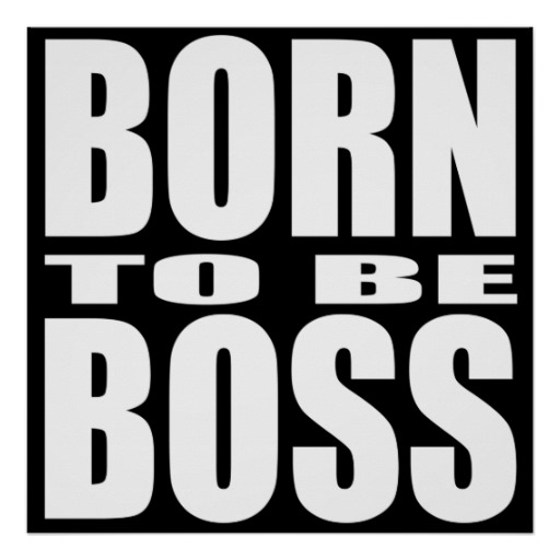 born_to_be_boss_1
